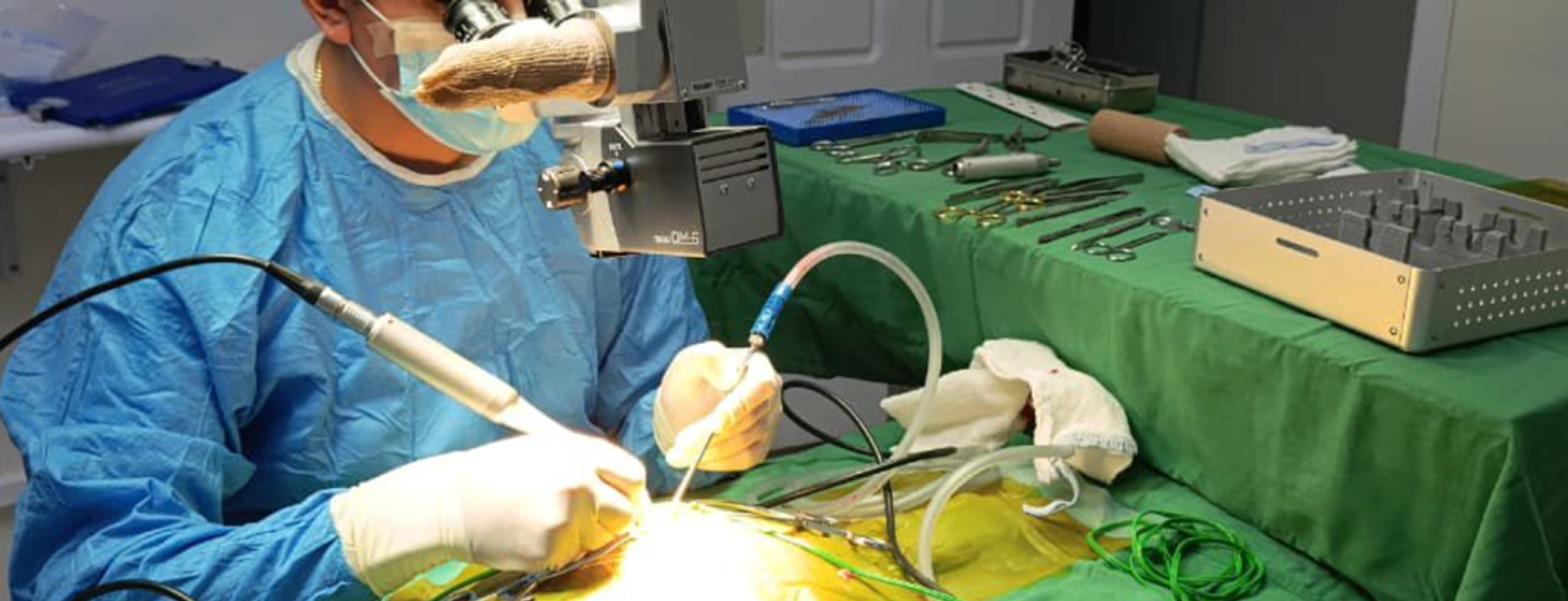 Del diagnóstico a la recuperación: así cuidamos de tu mascota en Dogtor’s Cat