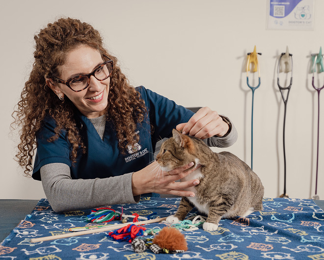 Medicina de felinos