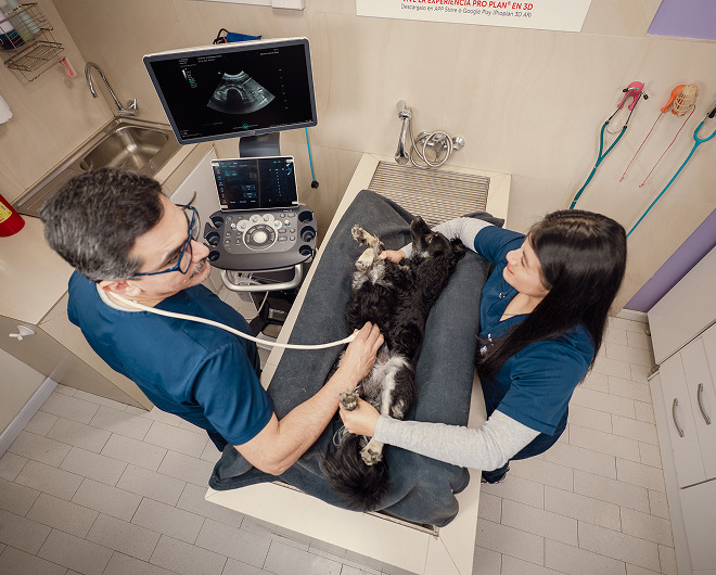 Gastroenterología